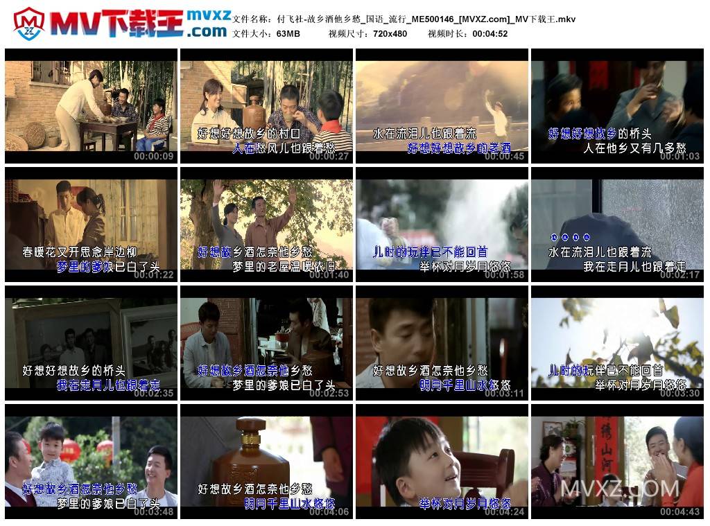 付飞社-故乡酒他乡愁_国语_流行_ME500146